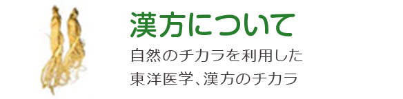 富山県立山町 漢方内科 たてやまクリニック